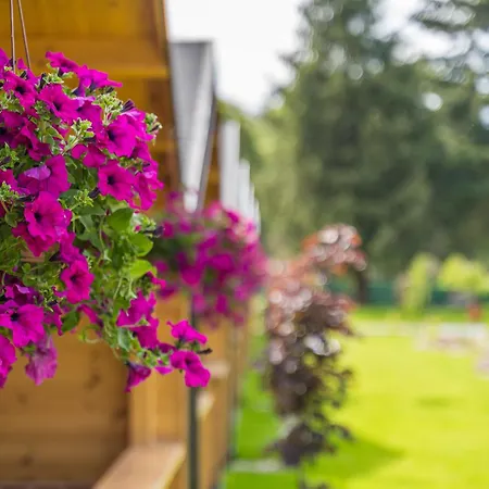 Nyaraló Bursztynowo